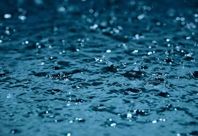 初秋曲江池,正是秋雨朦胧天_细雨