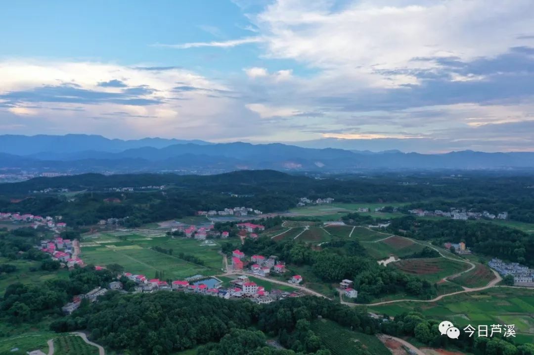 凤凰网点赞芦溪大变样变出县域新芳华百年瓷城绘新卷