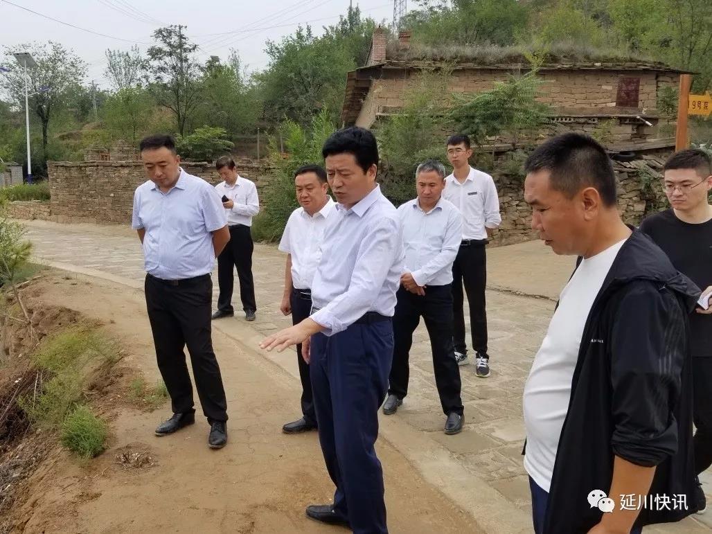 县委书记张永祥调研红枣采收及旅游景区建设情况
