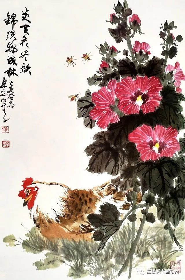 附图中的蜀葵花有各个方位的,有花苞,花蕾,盛开的