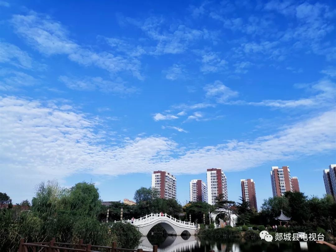 刷爆朋友圈的"郯城蓝"再次来袭!