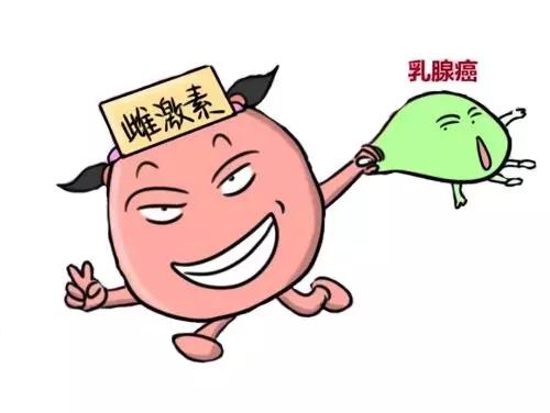 雌激素与乳腺癌沆瀣一气,让广大女性又爱又恨