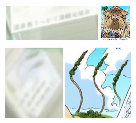 talkopƪ83ɫ216ʵ֡