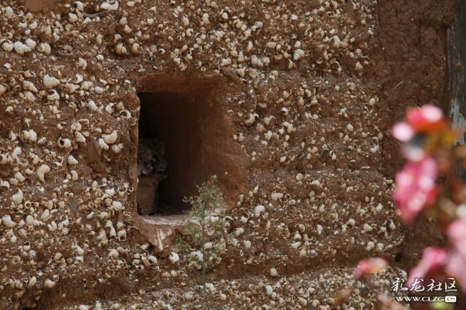 河泊所贝丘遗址距今已有三千多年的历史,属青铜时代早期的遗址,分布