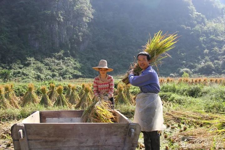 現在多多了當時使用這個大傢伙就是最早的打穀子的工具啦這個四四方方