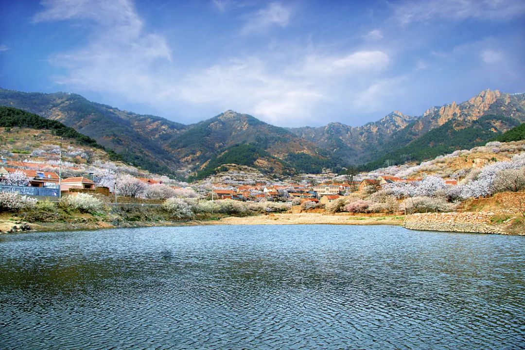 8月青島鎮街大氣環境質量排名出爐城陽夏莊街道氣質卓然