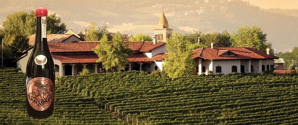 2019意大利美酒考察学习之旅_酒庄