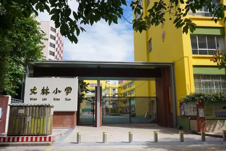 兴化文林小学图片