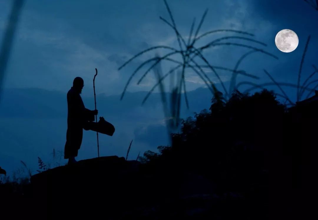 明暗处保持正念月影下品味人生禅坐观照僧犬相伴通玄访月几片淡淡的云