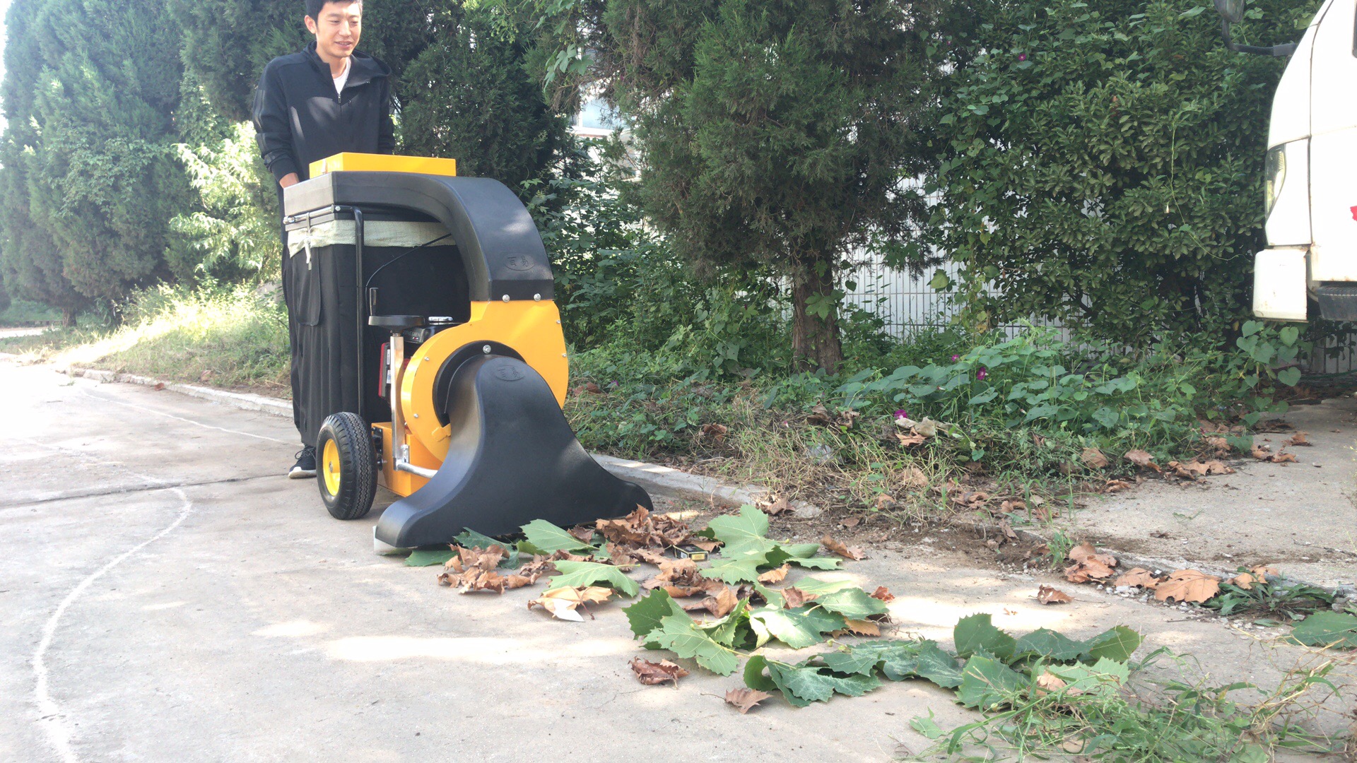 为什么越来越多的人选择用树叶收集器?