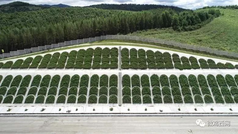 路基骨架护坡跨鹤大高速连续梁牡丹江特大桥预制简支箱梁钢筋焊接机器