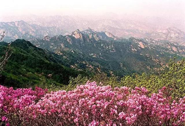 泰山崂山蒙山3分钟航拍带你领略别样山之美