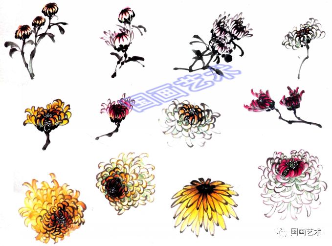 图文教程:中国画技法之写意菊花_花瓣