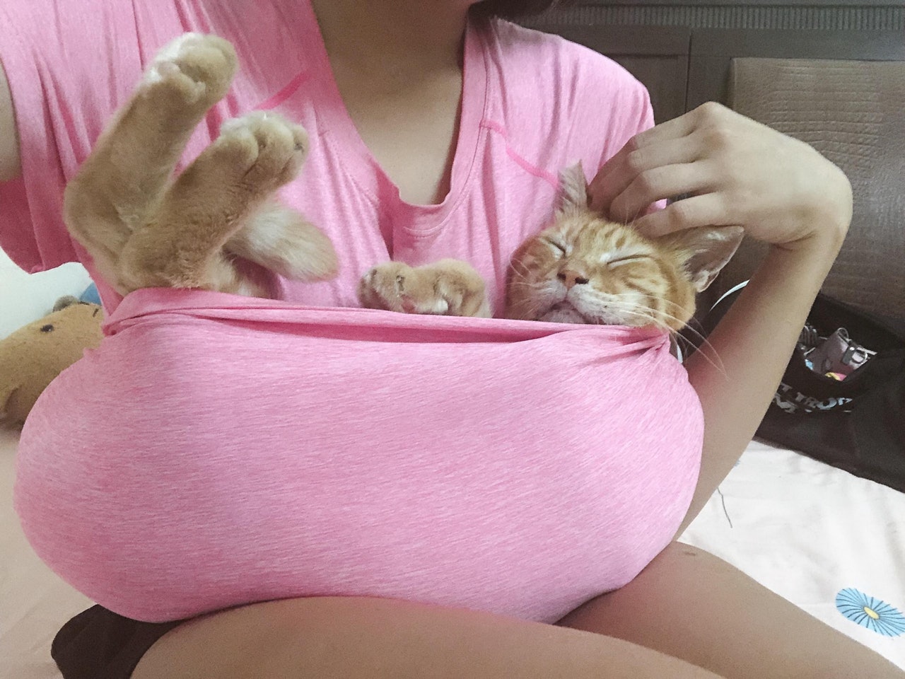 它竟然用身躯来成全女主人的巨乳梦这就是养猫的好处