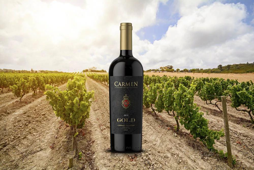 酒庄将大胆的新意酝酿于美酒之中vi09acarmen卡乐门