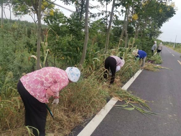 新时代文明实践勤丰村环境整治再发力我们不懈怠不停歇不止步