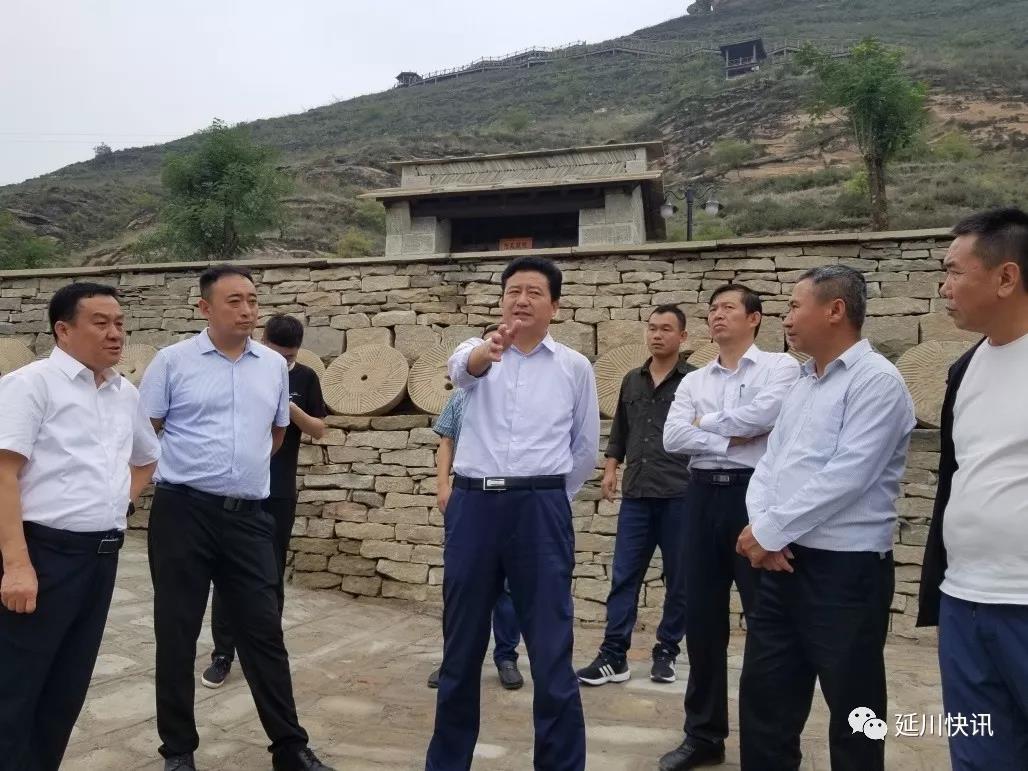 县委书记张永祥调研红枣采收及旅游景区建设情况