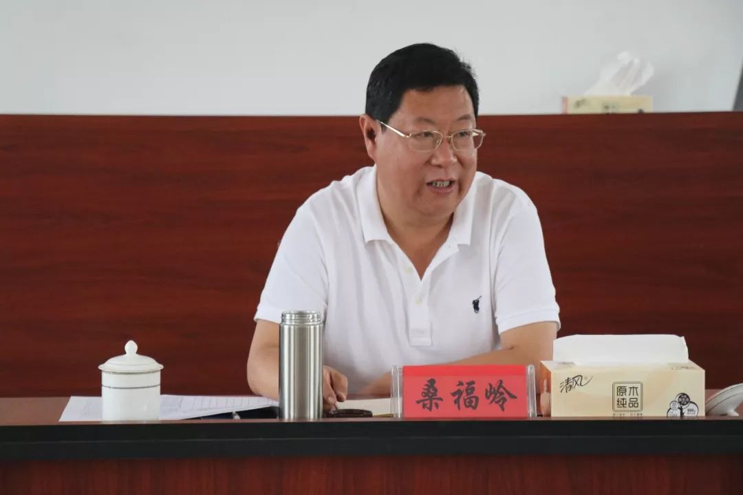 桑福岭到部分镇街调研基层基础大会战