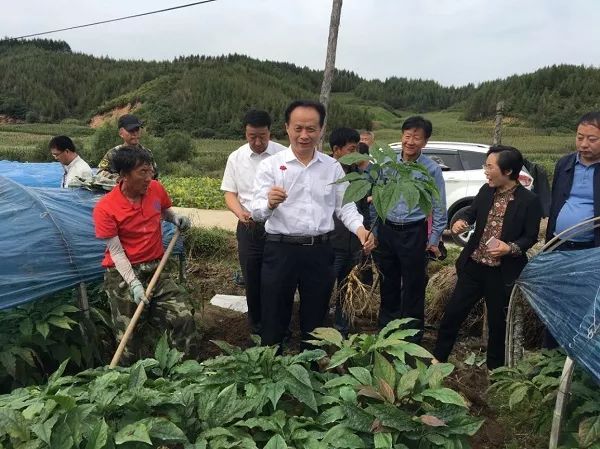 了解情况,规划布局,与新宾县委书记那学成,县长