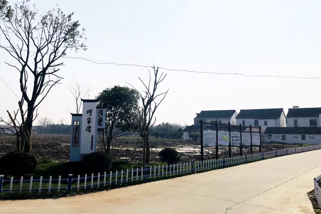 乡村振兴何桥村江南水韵生态何桥