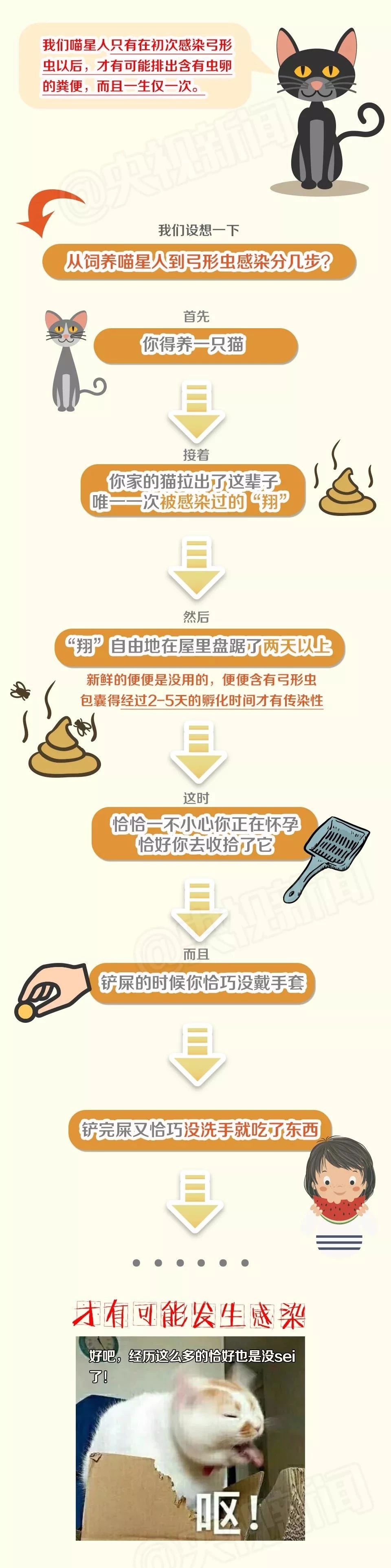 关于猫咪的6大谣言,哪条你听过?_养猫