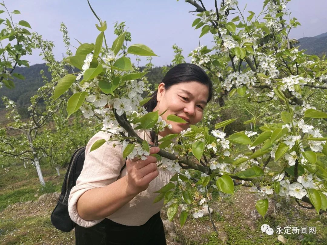 优秀教师风采2丨邱丽娟:甘做人梯育新秀 勤浇桃李广成材