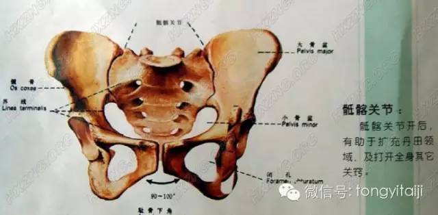 練拳為什麼要開胯怎樣開胯