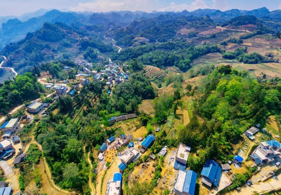 2000年出生于马关县夹寒箐镇坝甲村委会清水洞村