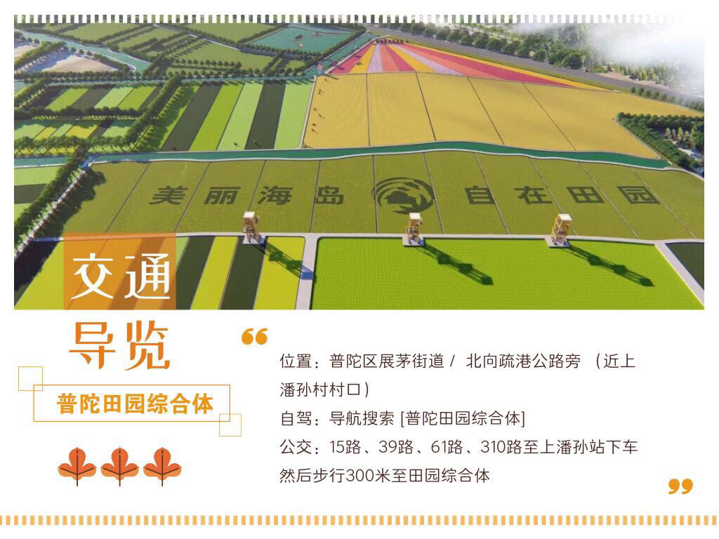 第二届中国舟山(普陀)丰收节来啦!来展茅田园综合体感受一场海稻梦想