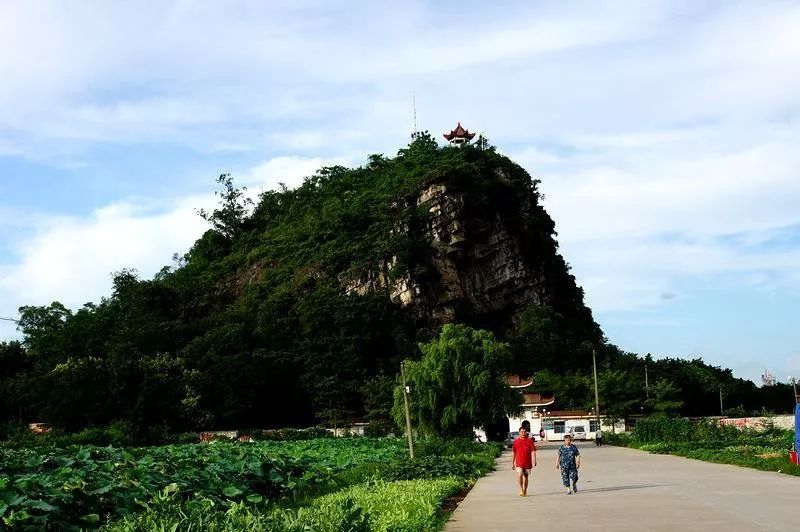 小时候我家住黎塘龙岩山附近那是孩子的天堂宾阳文学