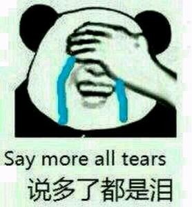 捂嘴哭表情包熊猫图片