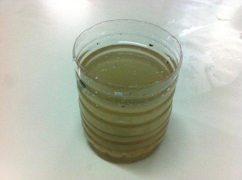 老师需要在课前准备好一杯脏水海绵,医用纱布,抹布(衣服布料),脏水一