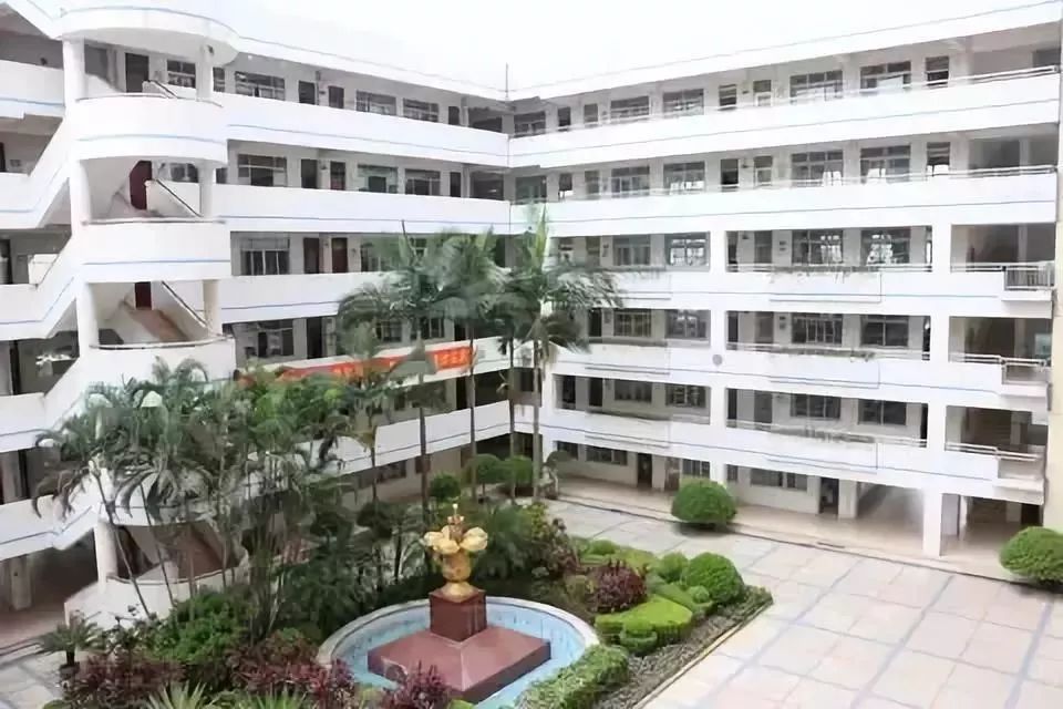 名校专栏中山市桂山君里学校