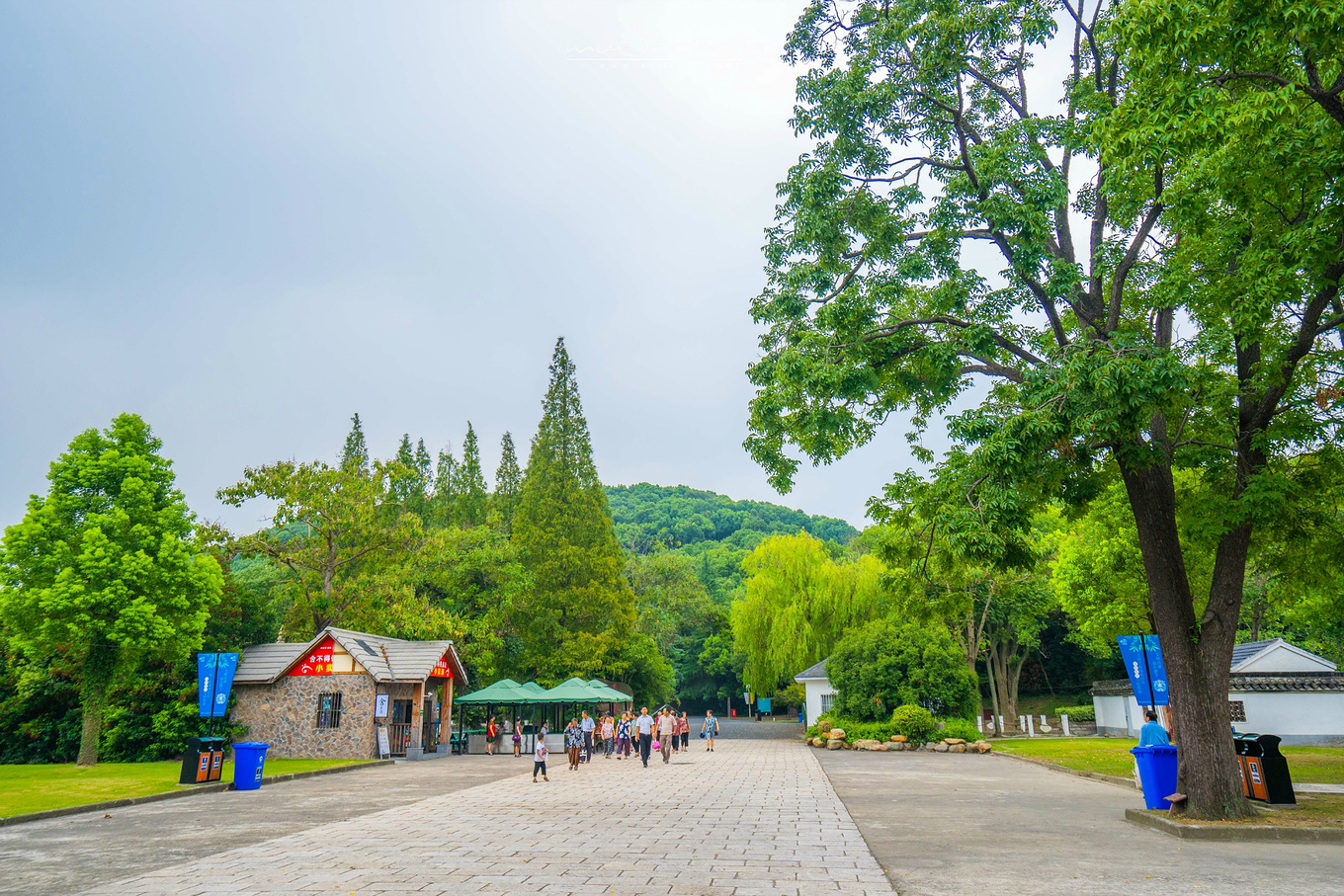 跟著狼爪x松贊#守護香巴拉#探秘佘山國家森林公園_山頂