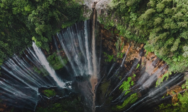 洗碗机市场不能盲目乐观，要避免产品同质化的恶战！-家电圈官网