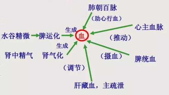 中医基础丨你知道中医对血的认识吗