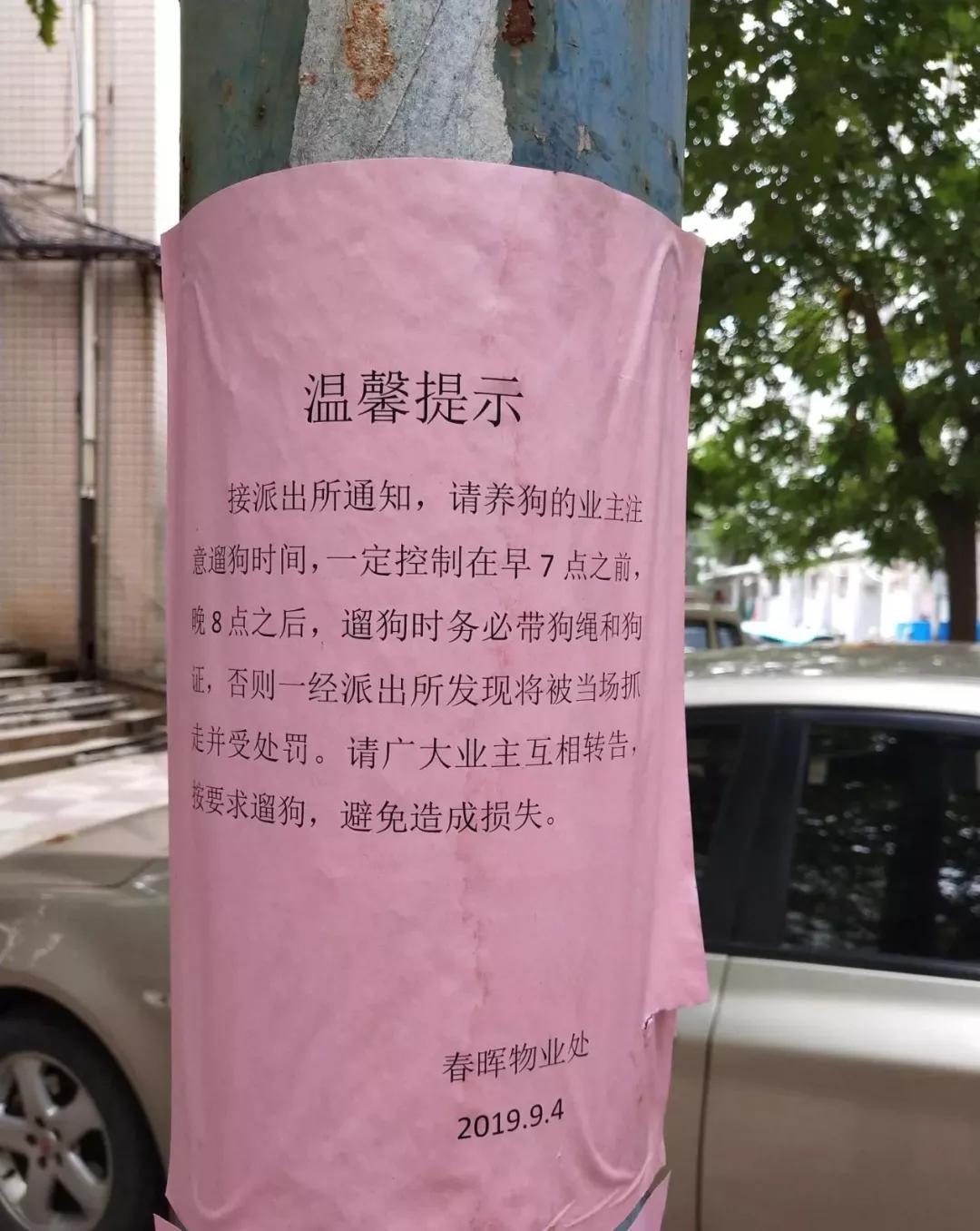 邯郸一小区告示对狗限行