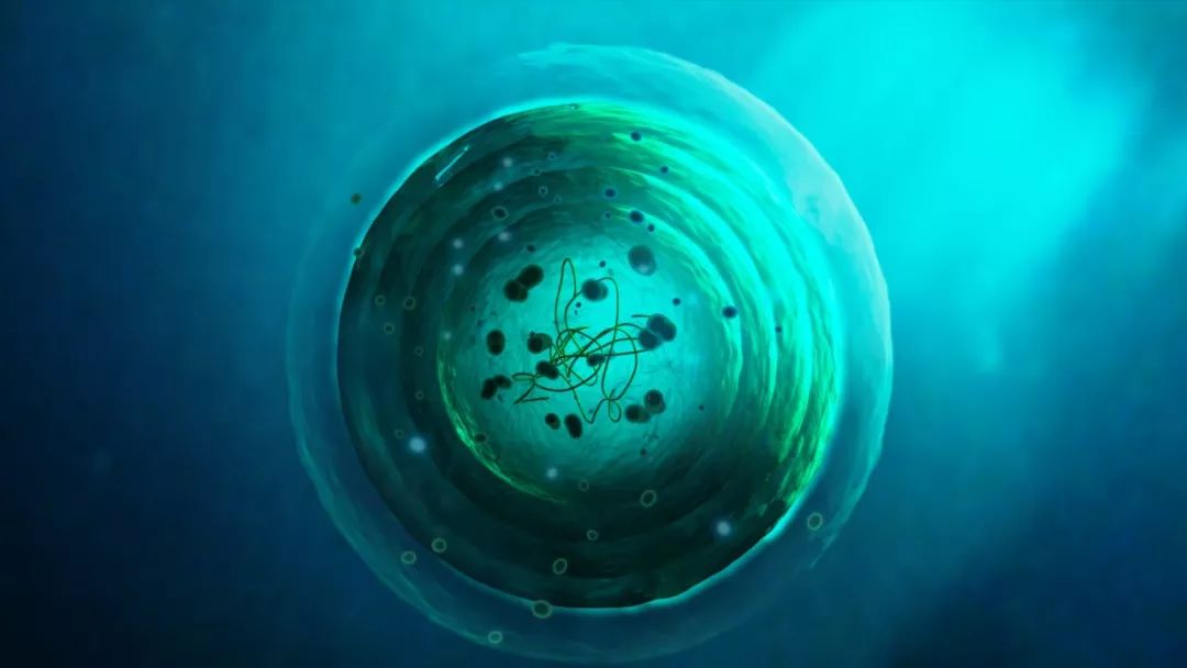 海洋中的蓝藻,仿佛一个奇迹,地球生命起源于一个细胞.