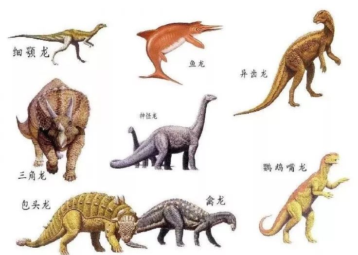 福利回馈大型恐龙主题乐园门票免费送我们一起去沙漠我们也一起看恐龙