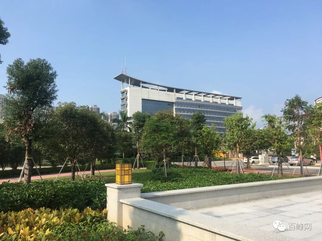 陈宜禧路旁边的长岭公园原本是一个停车场,台城街道办筹资并将这里