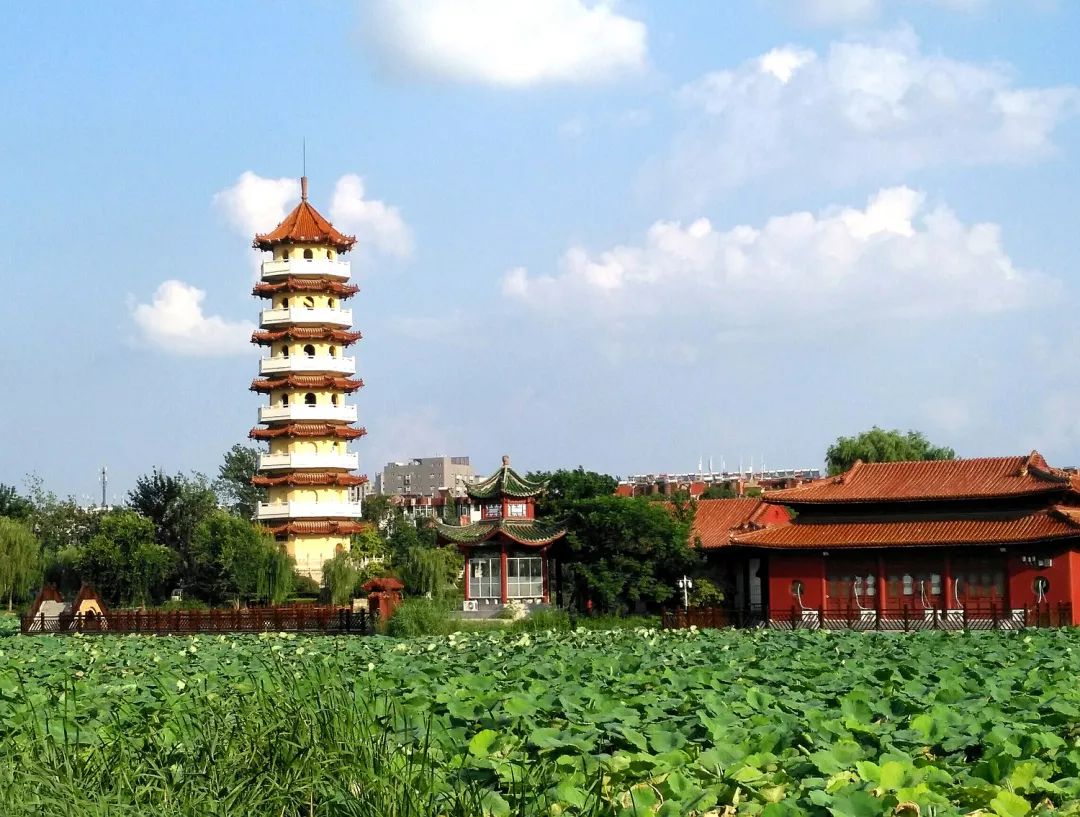 丰县人民政府第28次常务会议召开研究讨论了这些问题