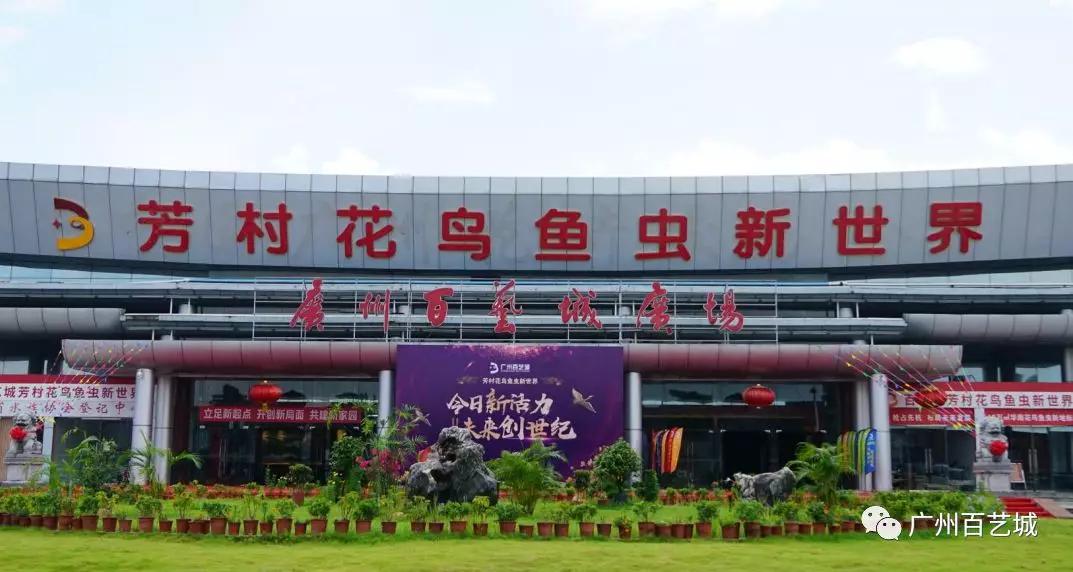 喜讯芳村花鸟鱼虫新世界开通地铁便民接驳车