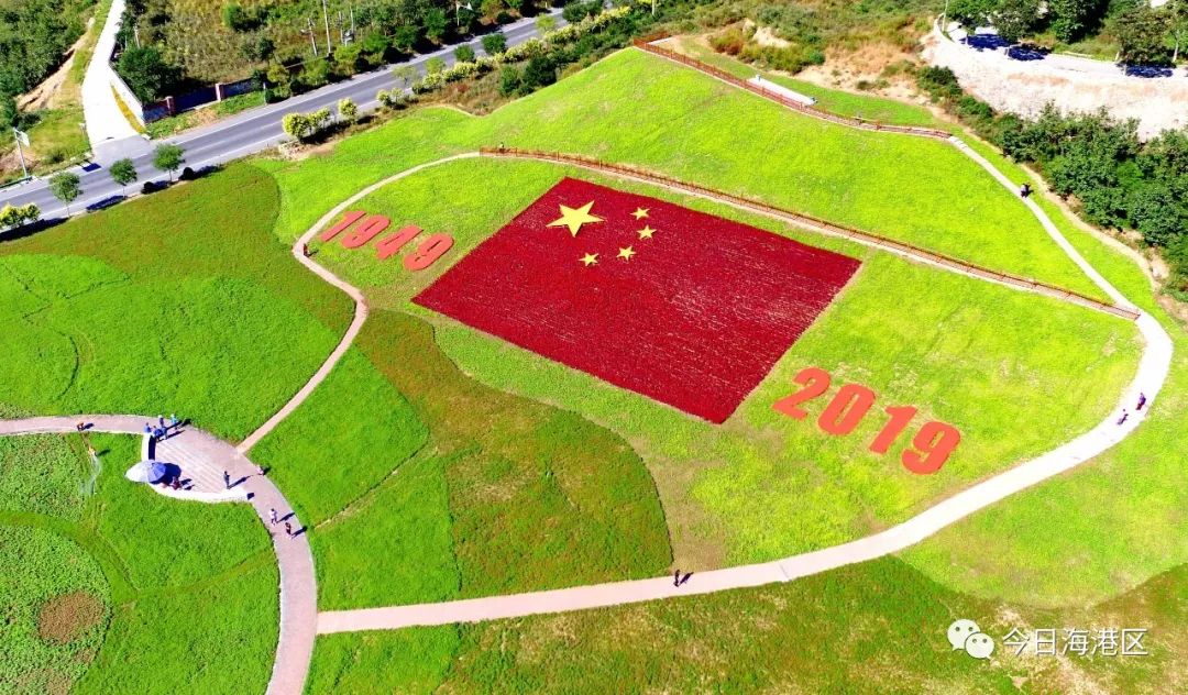 海港区这处郊野公园即将迎来颜值巅峰赶快去打卡