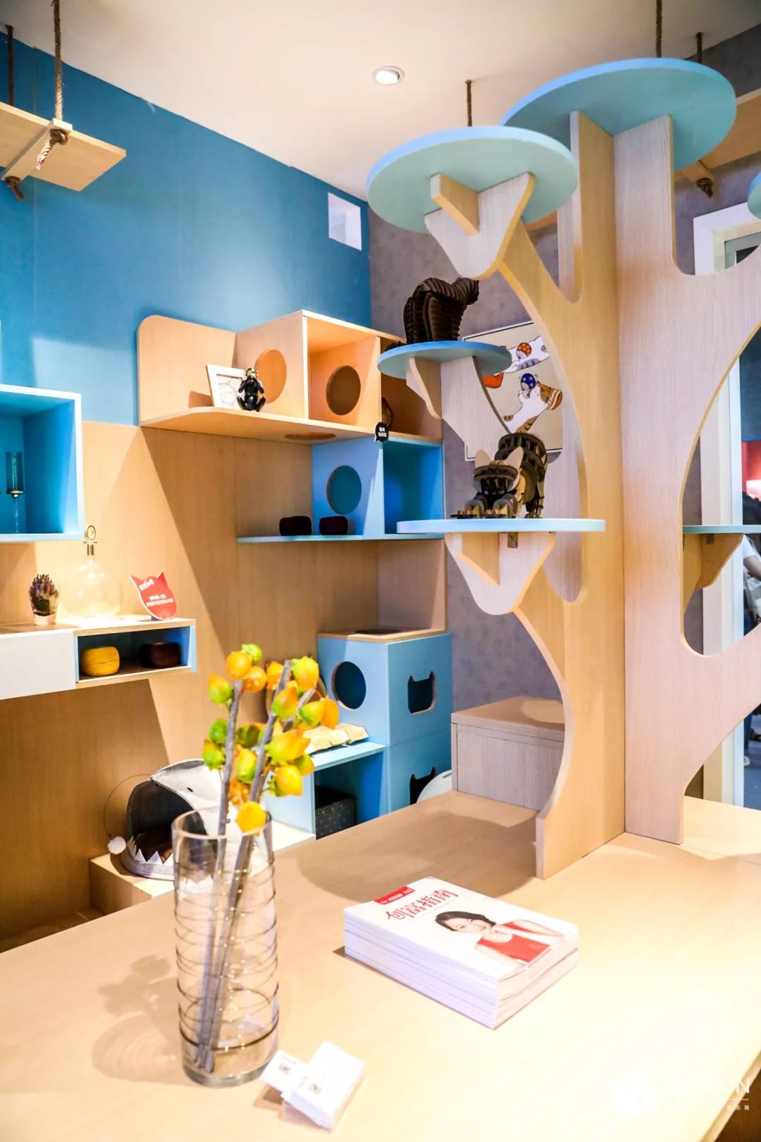 homeplus主题展里你看到的是七个空间我看到的是他们如何解决问题