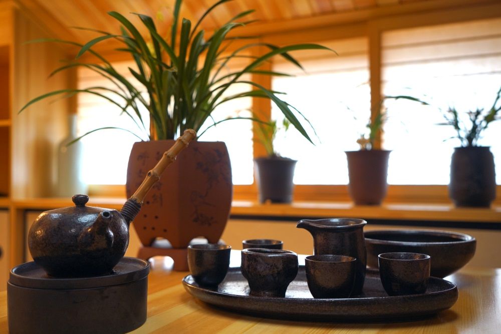 茅山居兰花为媒茶香氤氲在兰亭雅居静享诗意慢生活