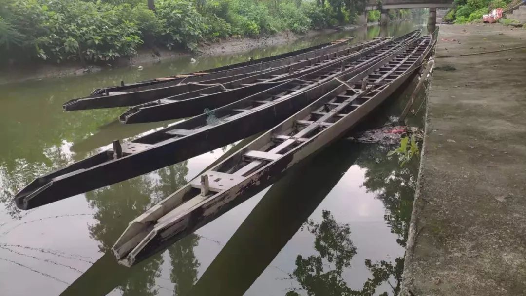 传统龙船的船身一般是用坤甸木做的.坤甸木具有坚韧,易保管等特点.