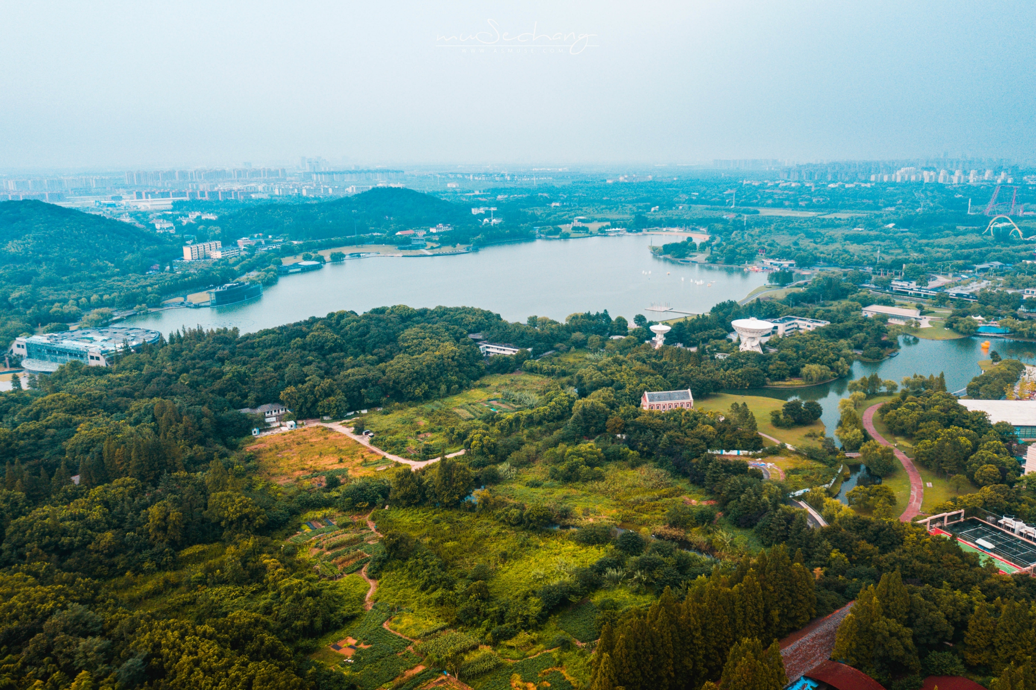 上海佘山森林公园图片
