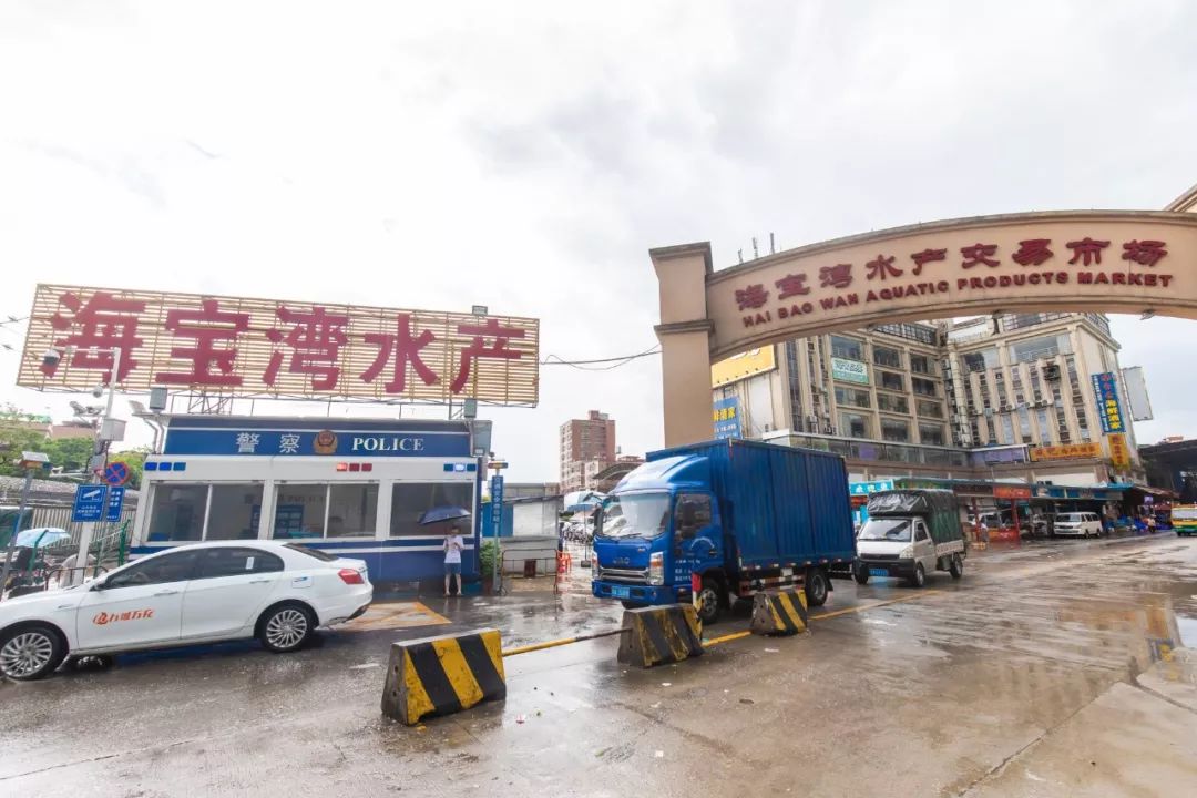 滘口的海宝湾水产交易市场可能听说过的人并不算多,因为地方离广州