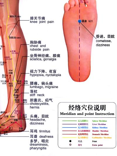 腿部上六条经络位置图图片