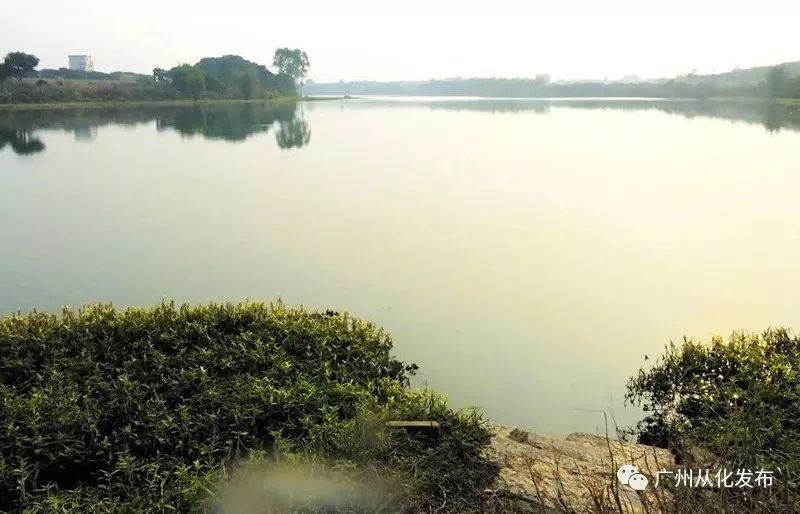 百年从化流溪河的故事